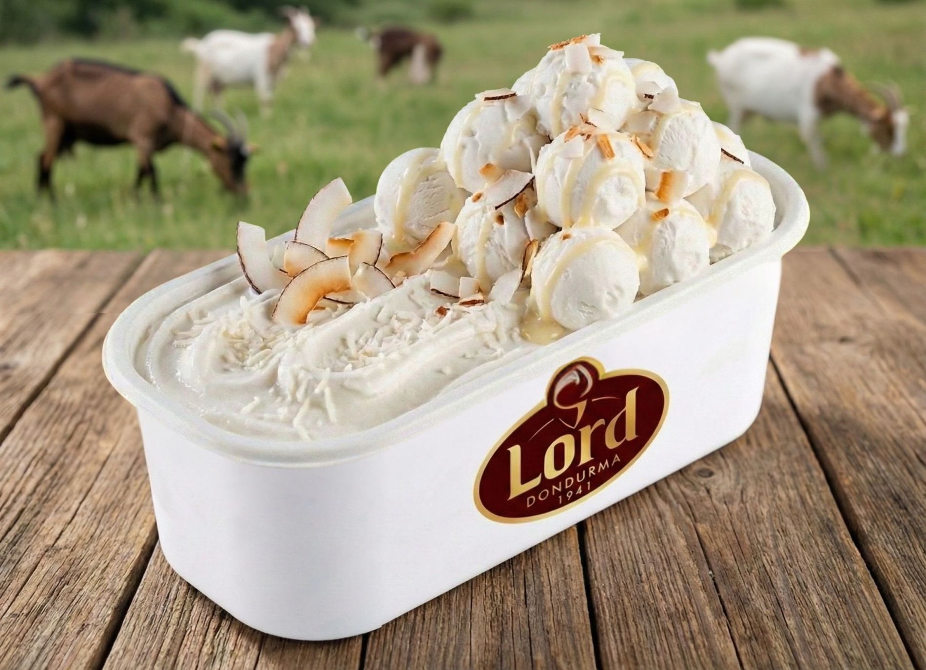 Hindistan Cevizli Reyon Dondurma